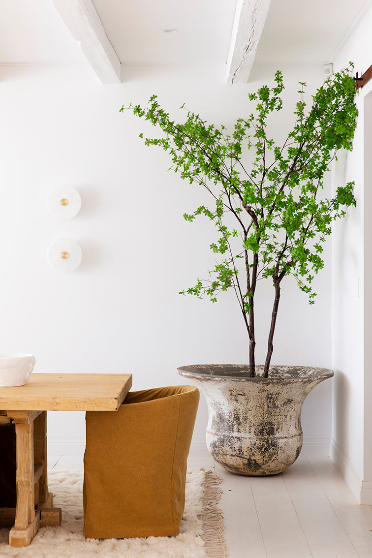 Hamilton Dining Chair | Ochre